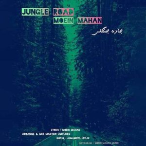 معین ماهان – جاده جنگلی