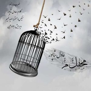 عادل شاپور – محفل میم