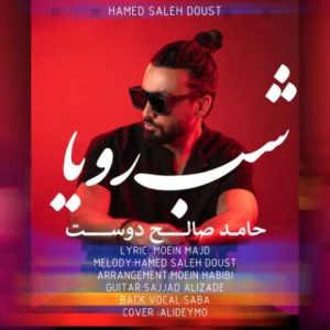 حامد صالح دوست – شب رویا
