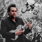 علی نعمتی – نوازش