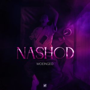 معین ژئو – نشد