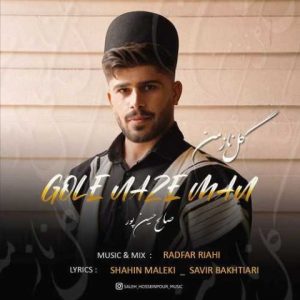 صالح حسین پور – گل ناز من