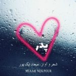 میعاد نیک پور – پدر